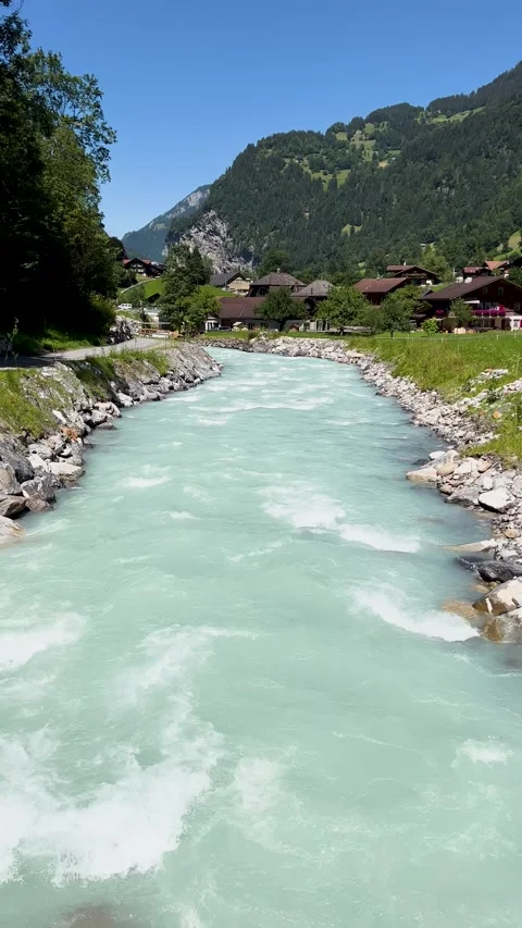 The Serene Mountain River is Flowing Gently Through a Beautiful and Lush Stock Footage 304784043