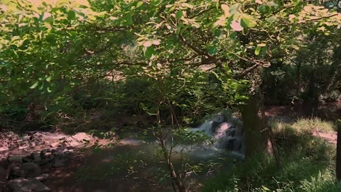 Serene mountain river flowing through lush forest Stock Footage 337036224