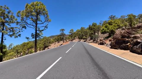 A Serene Mountain Road That Winds Through Beautiful Lush Pine Trees and Scenic Stock Photos