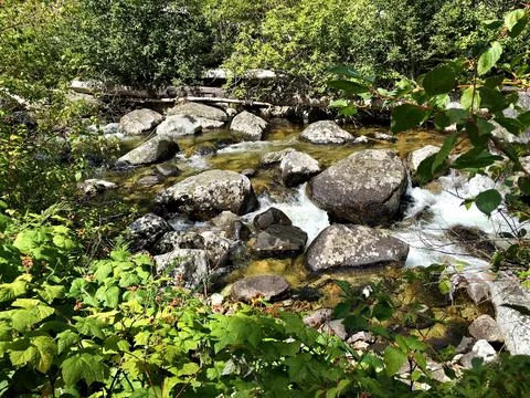 Serene Mountain Stream Flowing Over Rocks Stock Photos