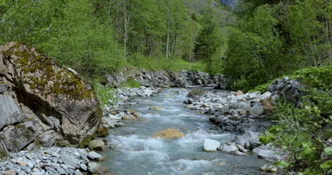 Serene mountain stream flowing through lush green forest on a sunny day Stockbeeldmateriaal 314082976