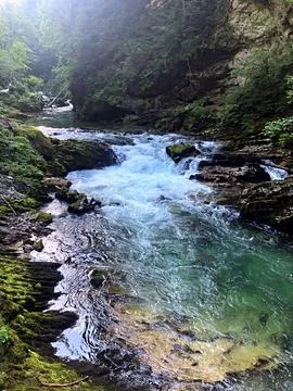 Serene Mountain Stream Flowing Through Lush Forest Surroundings Foto stock
