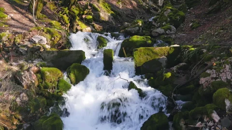 A serene mountain stream flows gently, surrounded by lush greenery and beautiful Stock Footage 281530498