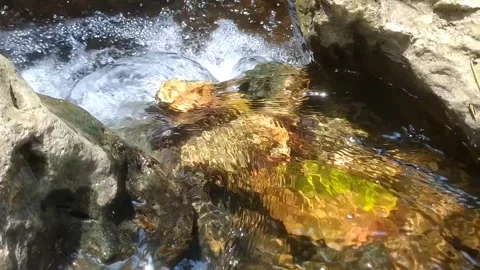 Serene Mountain Stream 库存影片 332923508