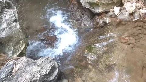 The Serene Mountain Stream 库存影片 334590329