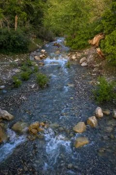 Serene Mountain Stream Stock-Fotos