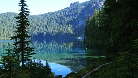 Serene Mowich Lake Reflection in Mount Rainier National Park Stock Footage 332080472