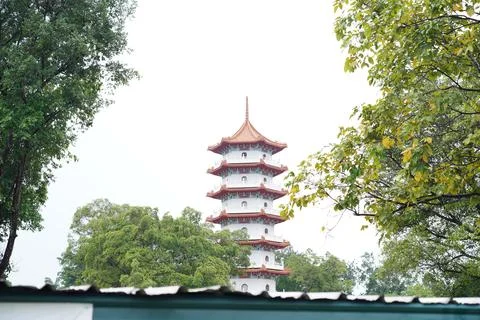 Serene Multi-Tiered Pagoda Architecture in Lush Green Park Stock-Fotos