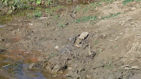 A serene, narrow stream flows through a rocky landscape. 库存影片 329817929