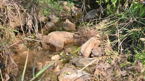 A serene, narrow stream flows through a rocky landscape. Vidéo 329817936