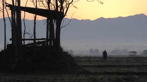 Serene Natural Atmosphere with Fields and Mountains Stock Footage 273163602
