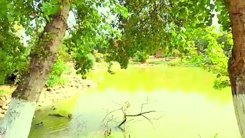 A serene natural scene centered around a calm body of water, Stock Footage 320409095