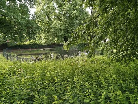 Serene Natural Setting Featuring Reflective Water And Vibrant Vegetation Stock Photos