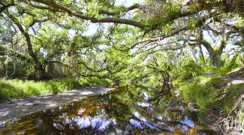 A serene, natural setting Stock Photos