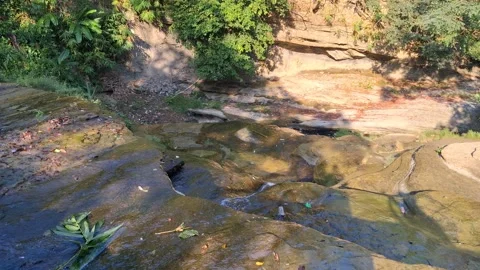 Serene natural stream flowing over rocks in a peaceful outdoor setting Vídeo Stock 331657746