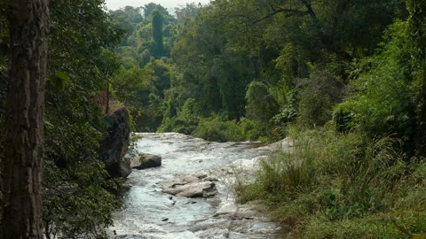Serene natural waterfall flowing through lush green forest landscape, Stock Footage 280021467