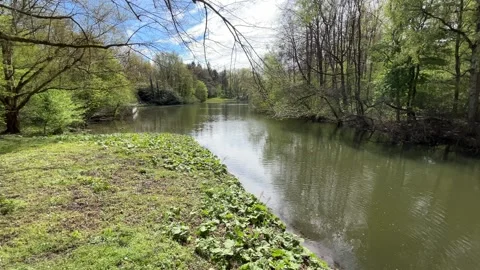 Serene Nature Reflection in Amsterdamse Bos During Spring Morning Stock-Footage 334150355