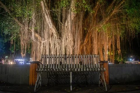 A serene night scene featuring a rustic wooden bench in front of a majestic.. Stock Photos