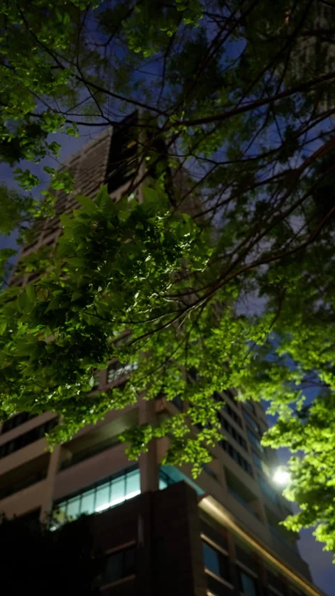 A serene nighttime cityscape featuring towering modern buildings partially Video stock 310488559