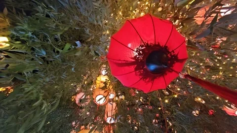 A serene nighttime scene centered on a vibrant red lantern surrounded by lush Stock Footage 338235310