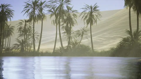 Serene oasis with gentle wind. Calm breeze over tranquil desert waters Stock Footage 339630352