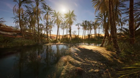 Serene oasis landscape with palm trees and calm water under bright sun Stock Footage 331424044