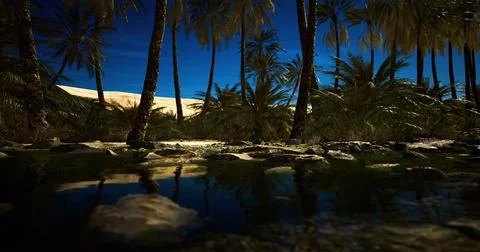 Serene oasis surrounded by palm trees under the night sky Stock Illustration