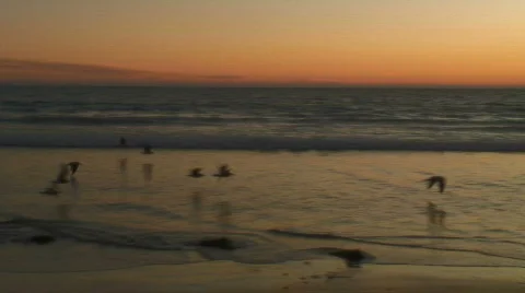 Serene Ocean Sunset Stock Footage