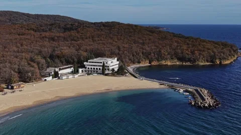 Serene ocean view with a beach and coastal forest in autumn colors Stock Footage 325720974