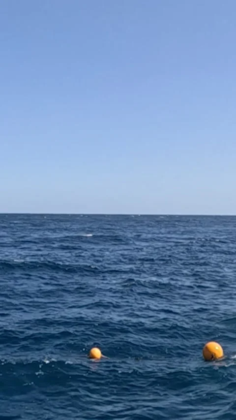A serene ocean view showcasing floating buoys against a vast blue sky, capturing 库存影片 330095111