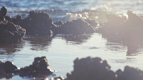 Serene ocean waves crashing gently against rocky coastal tidal pools. Stock Footage 337408235
