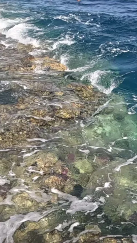 Serene Ocean Waves Gently Lapping Against the Shoreline, Capturing the Essence Video stock 330096908