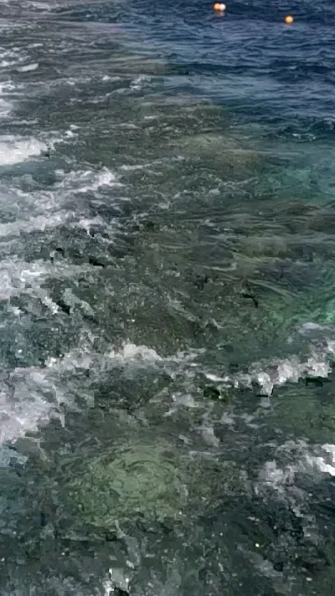 Serene Ocean Waves Gently Lapping Against the Rocky Shoreline, Capturing the 库存影片 330113362