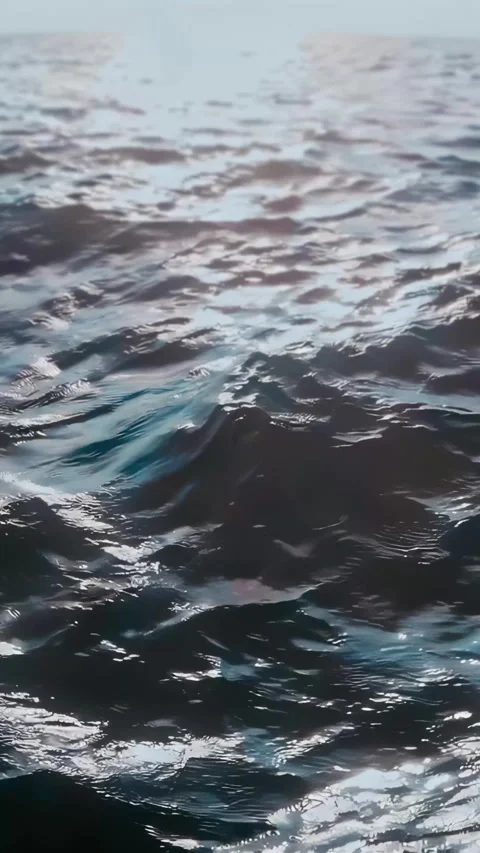The Serene Ocean Waves Gracefully Rolling Under Bright Sunlight at the Shor.. Stock Footage 300723742