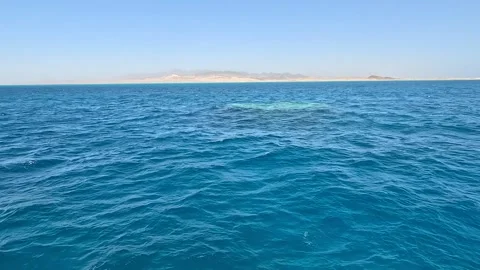 A Serene Oceanic View Capturing the Tranquility of Deep Blue Waters Under Clear 库存影片 331058792