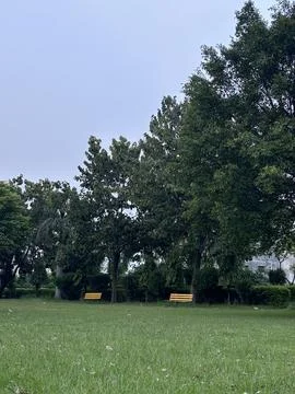 Serene Park with Empty Benches Stock Photos