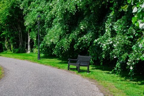 A Serene Park Path That Features a Comfortable Bench Surrounded by Lush Stock Photos