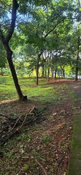 Serene Park Path Foto stock