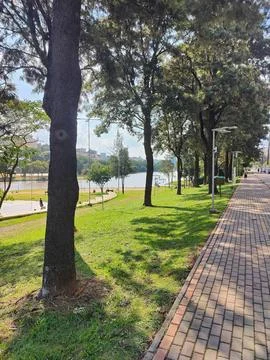 Serene Park Path Stock Photos