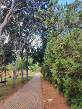 Serene Park Path Stock Photos