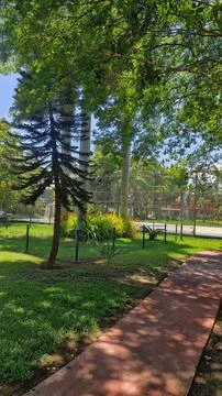Serene Park Path Foto stock