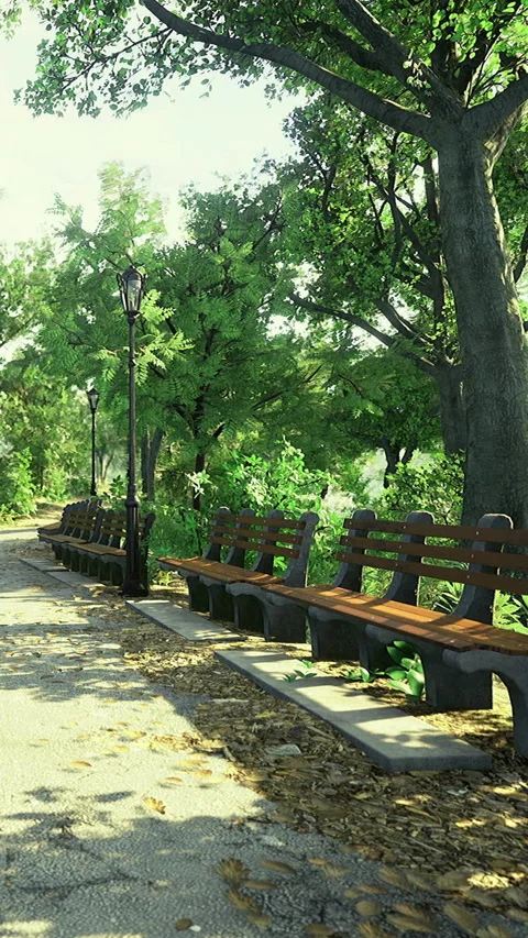 Serene park pathway with benches and lamp in bright morning light Stock Footage 334206523