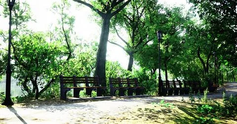 Serene park pathway lined with benches under bright sunlight Stock Illustration