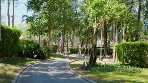 Serene park pathway surrounded by lush green trees Stock Footage 271724643