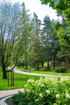 Serene Park Pathway Surrounded by Lush Greenery and Vibrant Flowers on a Sunny Stock Photos