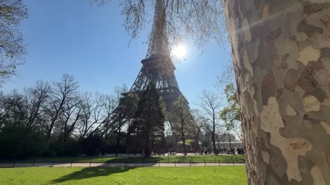 Serene park scene capturing Eiffel Tower amid greenery and visitors Stock Footage 337184306