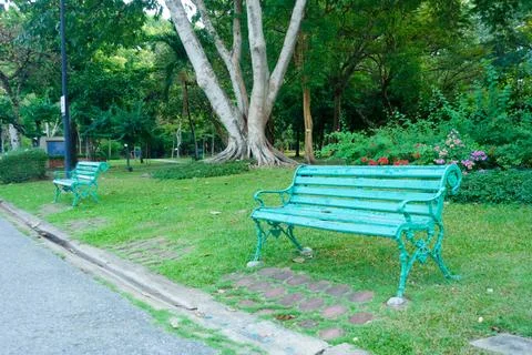 Serene park scene featuring two vintage green benches surrounded by lush gr.. Stock Photos