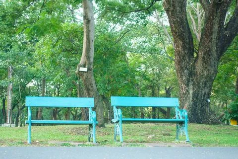 Serene park scene featuring two blue benches under lush green trees, inviti.. Stock Photos