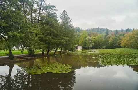 A Serene Park Scene which includes Beautiful Reflections and Lush Greenery all Stock Photos