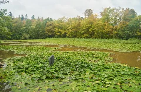 A Serene Park Scene which includes Beautiful Reflections and Lush Greenery all Foto stock